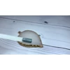 Bild 3/3 - 3step gellack 4ml #091 Nebliger Blick