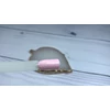 Bild 3/3 - 3step gellack 4ml #160 Porzellan rosa