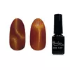 Bild 1/3 - Tiger Eye gellack 5ml #873 Rotbraun